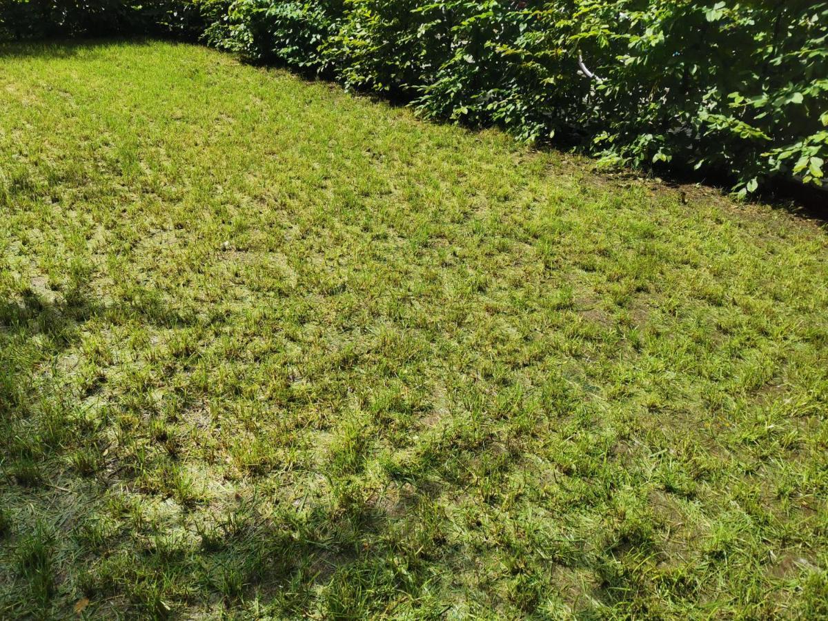 Apartment Near Fair And Central City In Few Min, With Garden Francoforte sul Meno Esterno foto
